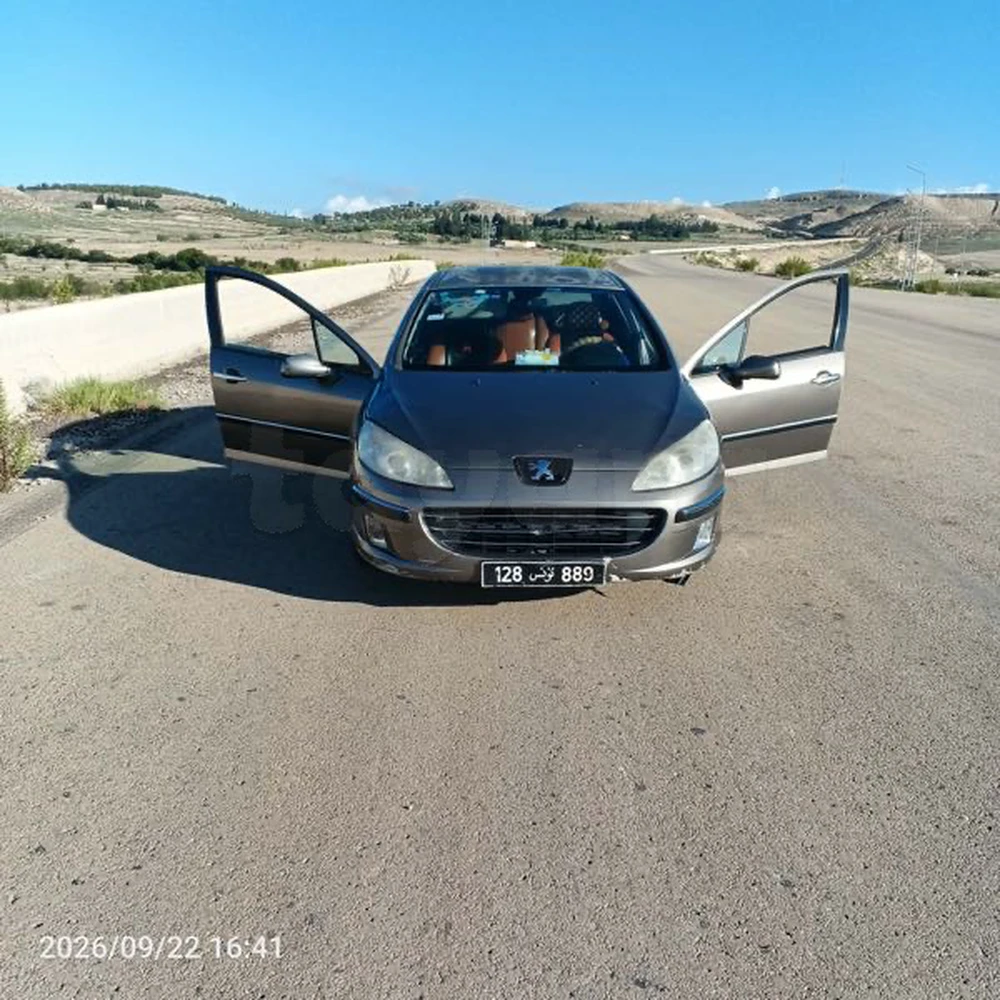 Peugeot 407