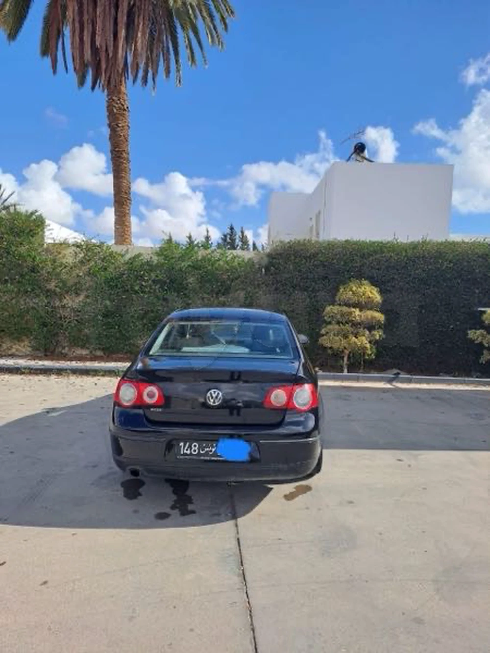 Carte voiture Volkswagen Passat