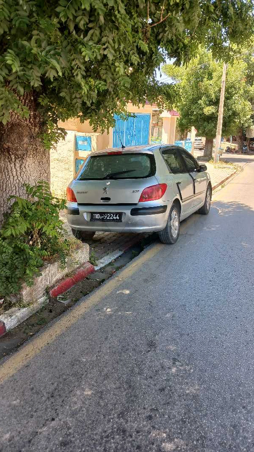 Peugeot 307