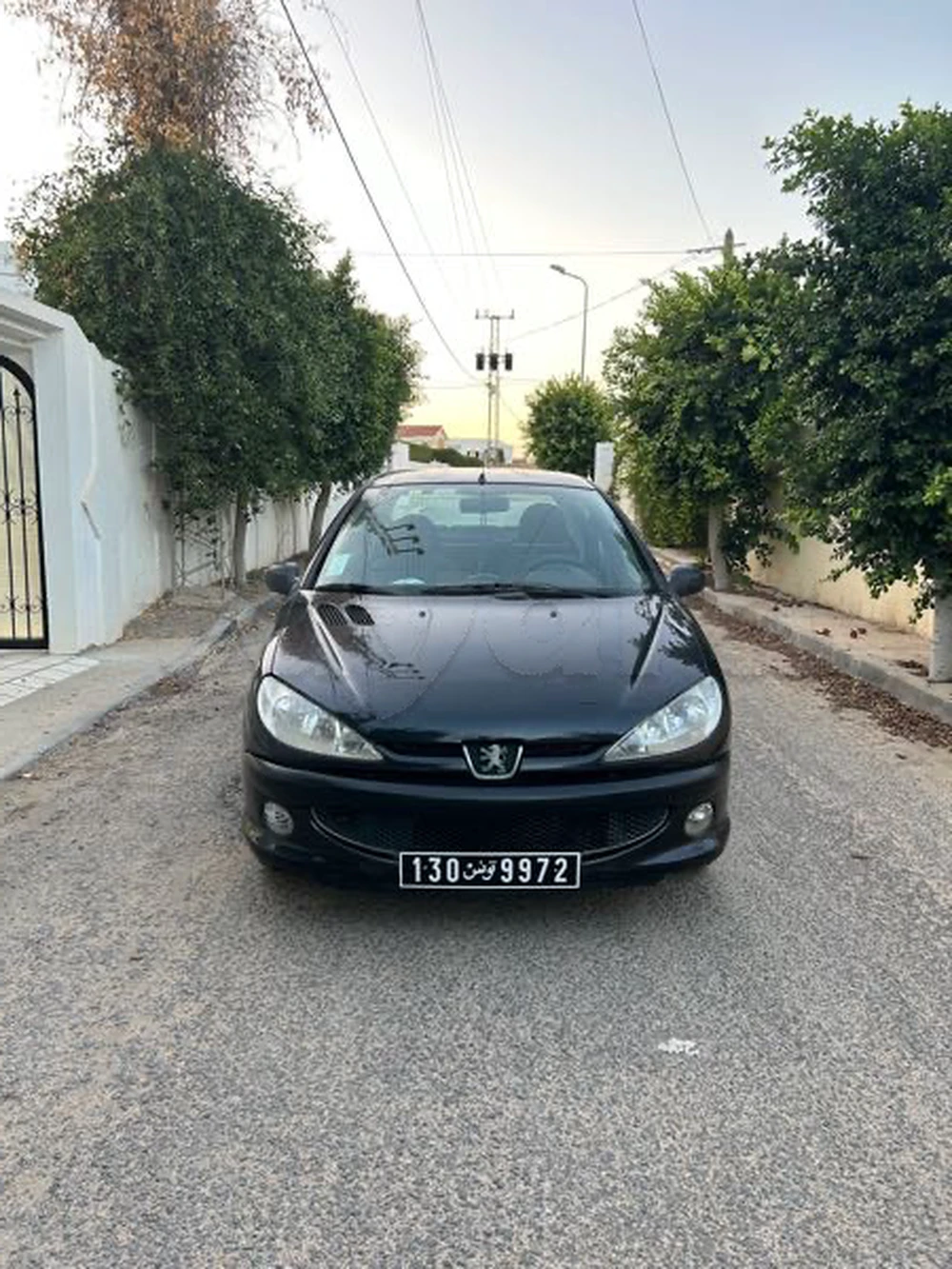 Carte voiture Peugeot 206 SW