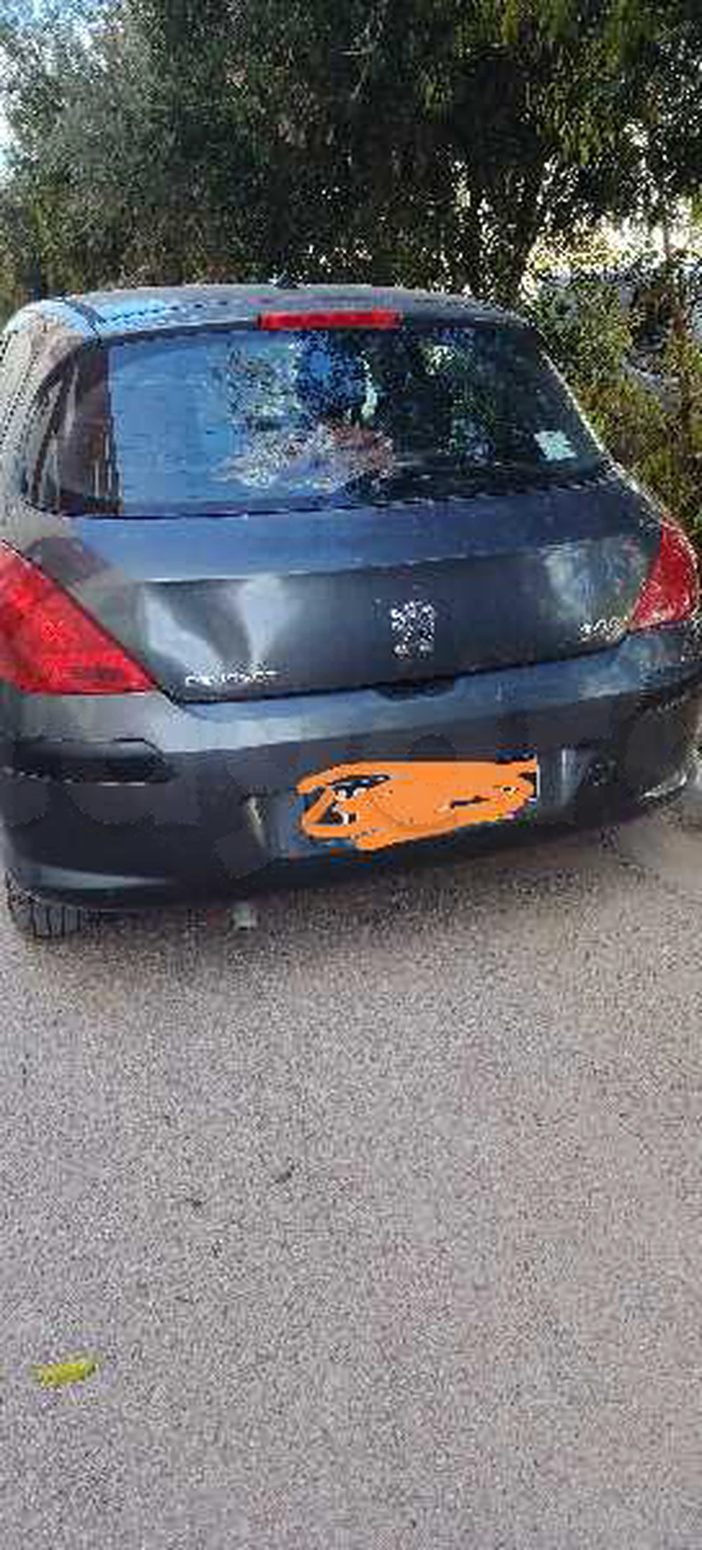 Carte voiture Peugeot 308 SW