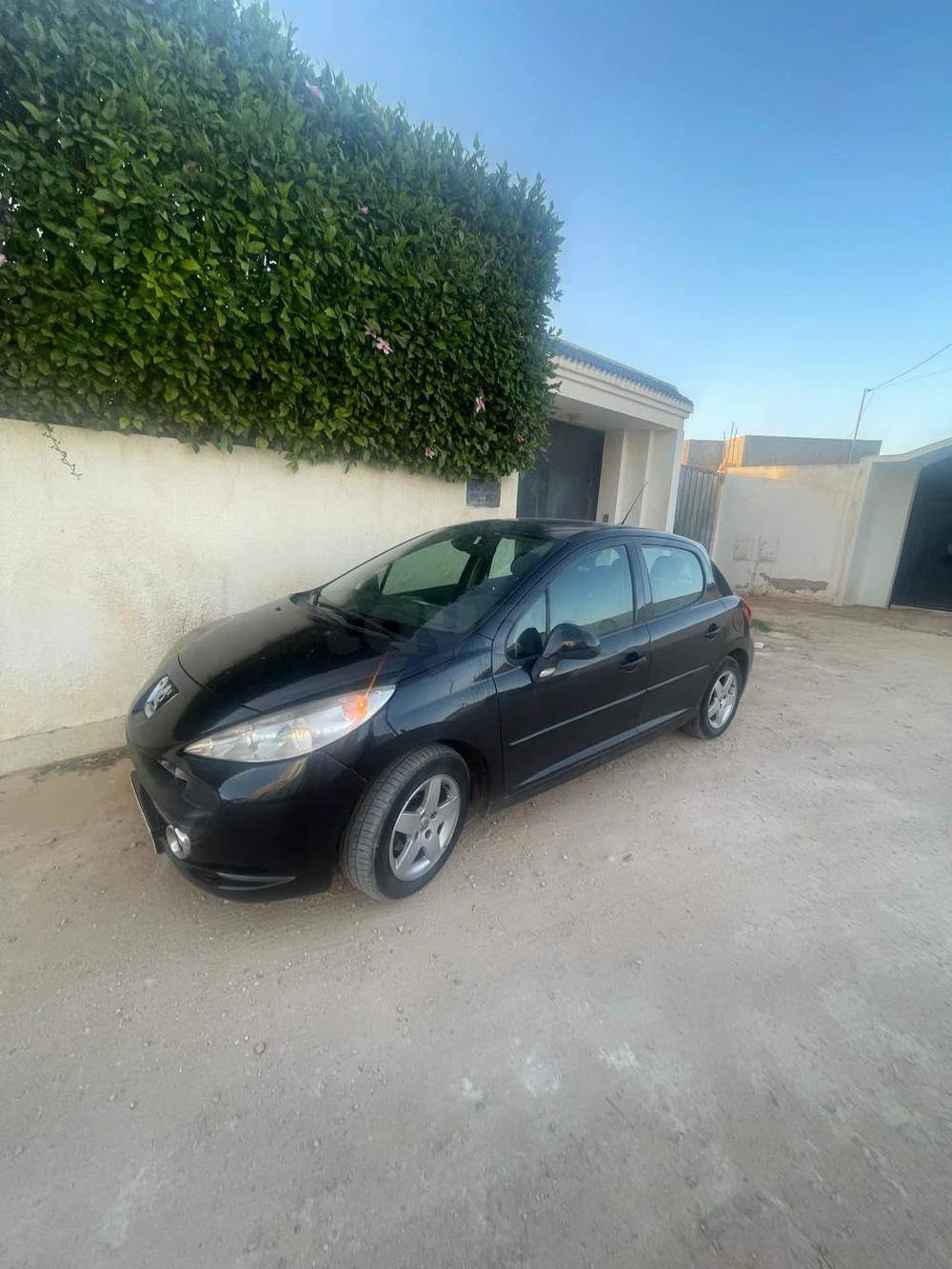 Carte voiture Peugeot 207