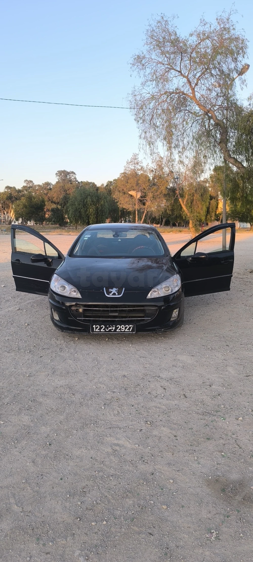 Carte voiture Peugeot 407