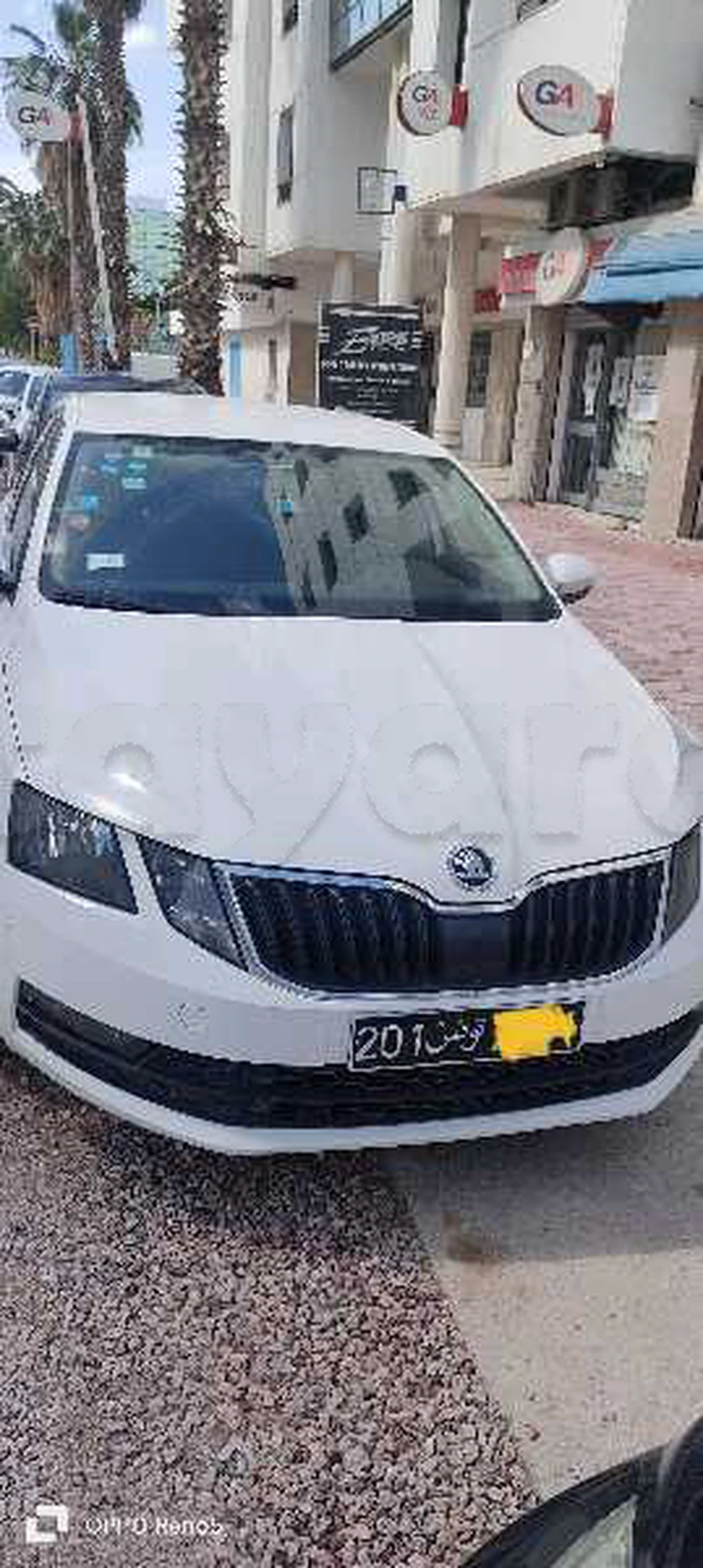 Carte voiture Skoda Octavia