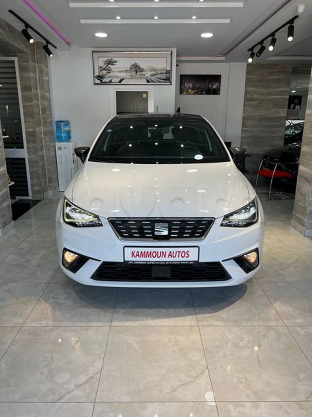 Carte voiture SEAT Ibiza