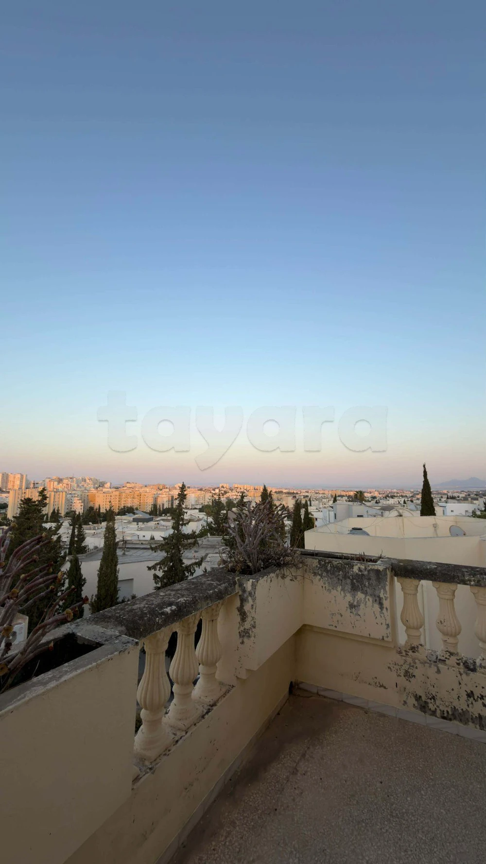 🏡 À VENDRE – VILLA À RÉNOVER À EL MENZAH 9B