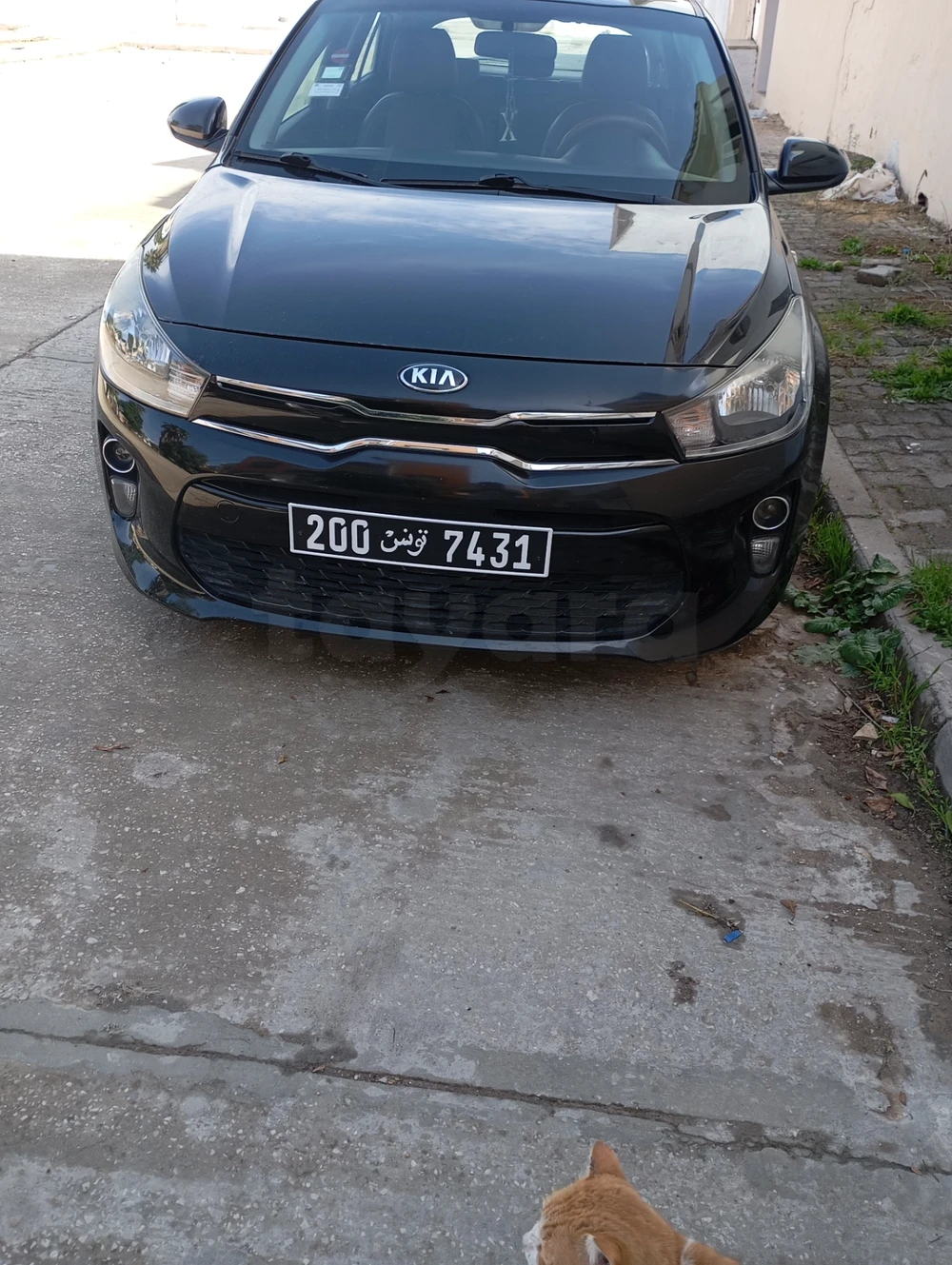 Carte voiture Kia Rio