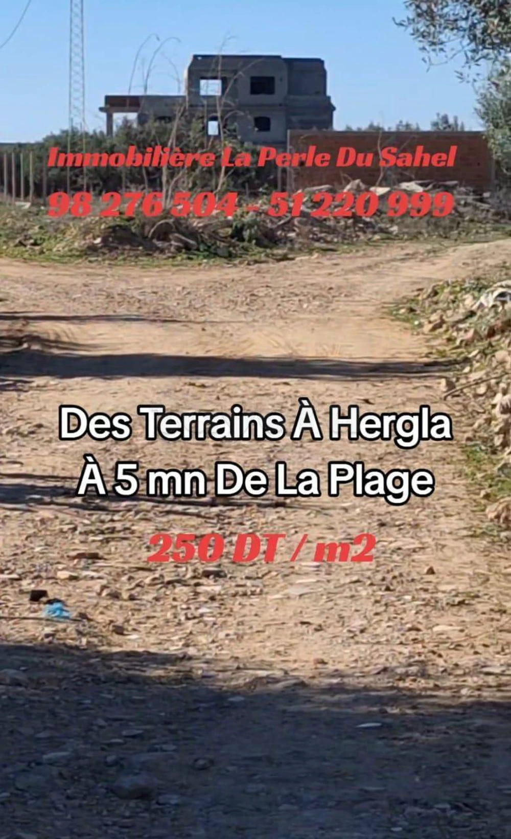 DES LOTS DE TERRAINS A HERGLA