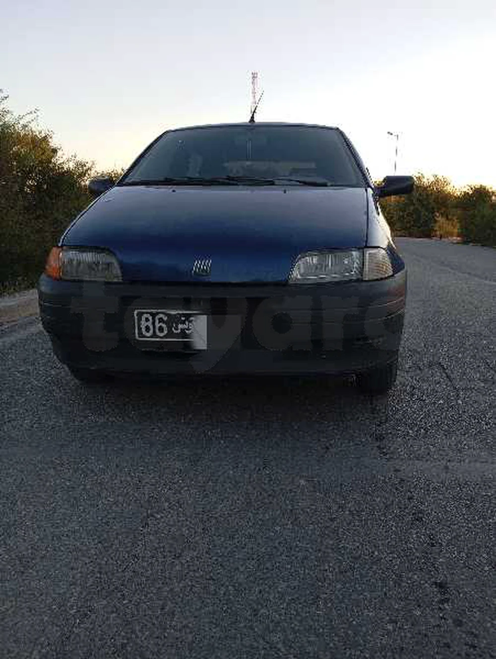 Carte voiture Fiat Punto