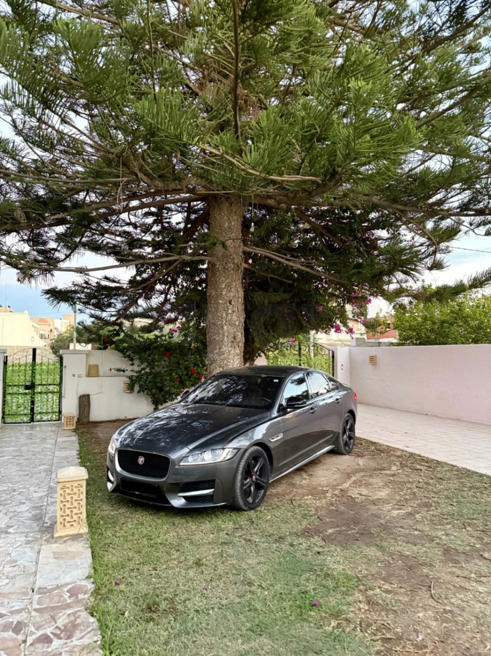 Carte voiture Jaguar XF