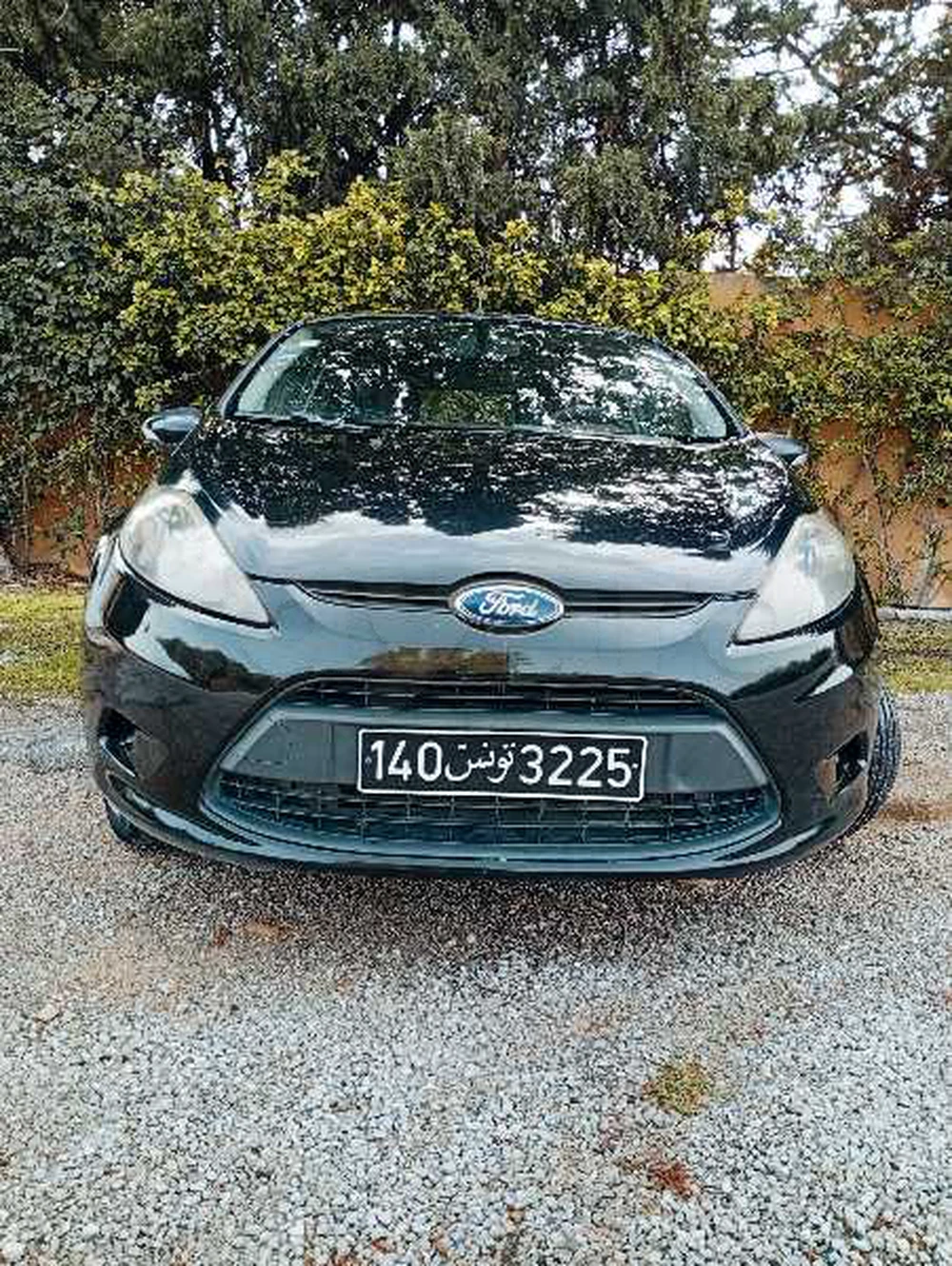 Carte voiture Ford Fiesta