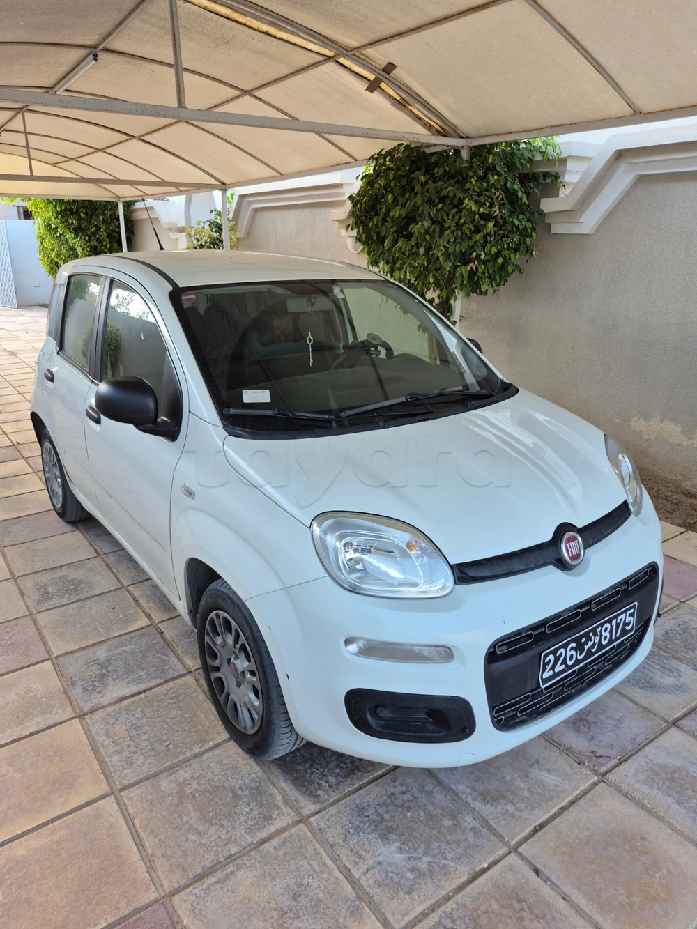 Carte voiture Fiat Panda