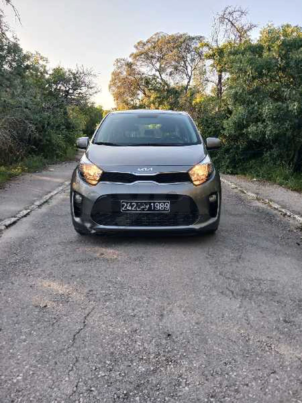 Carte voiture Kia Picanto