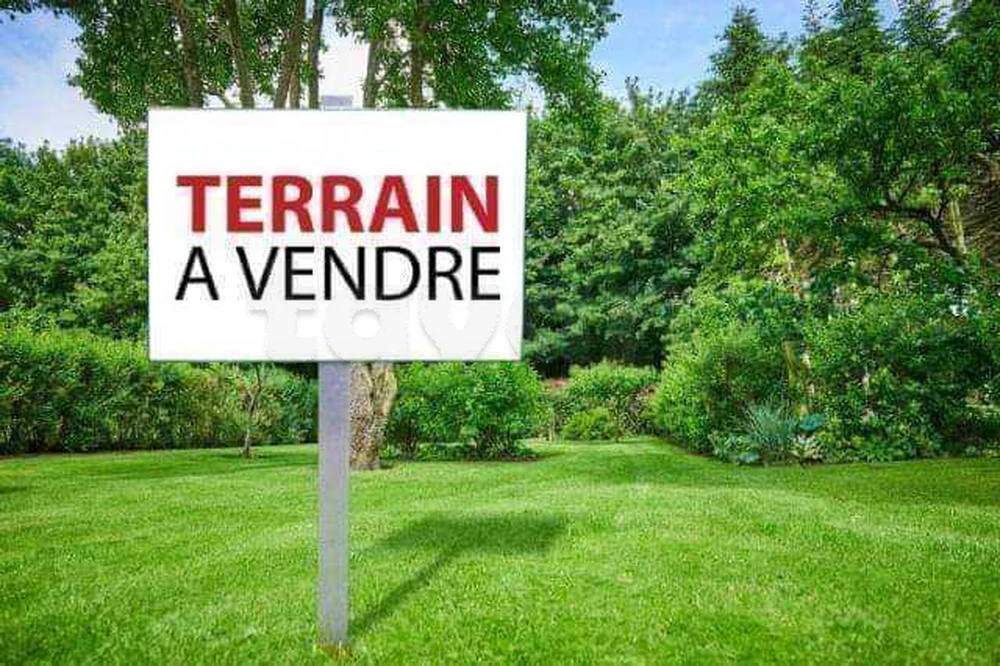 Investissement Immobilier