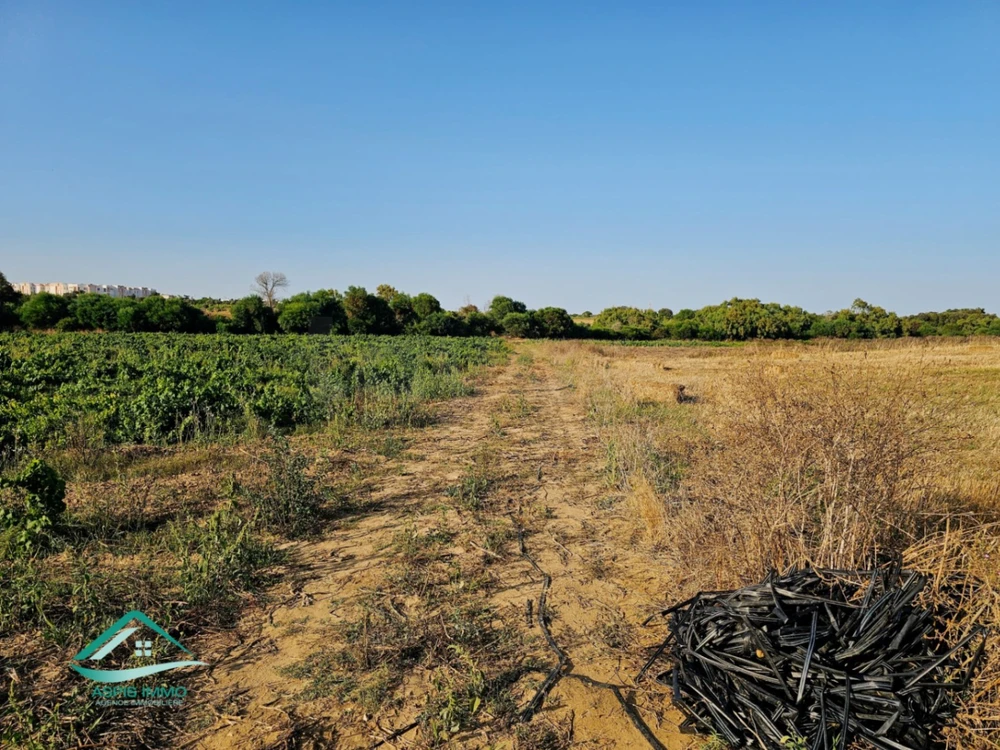 Terrain agricole 12 Hectares à Kelibia
