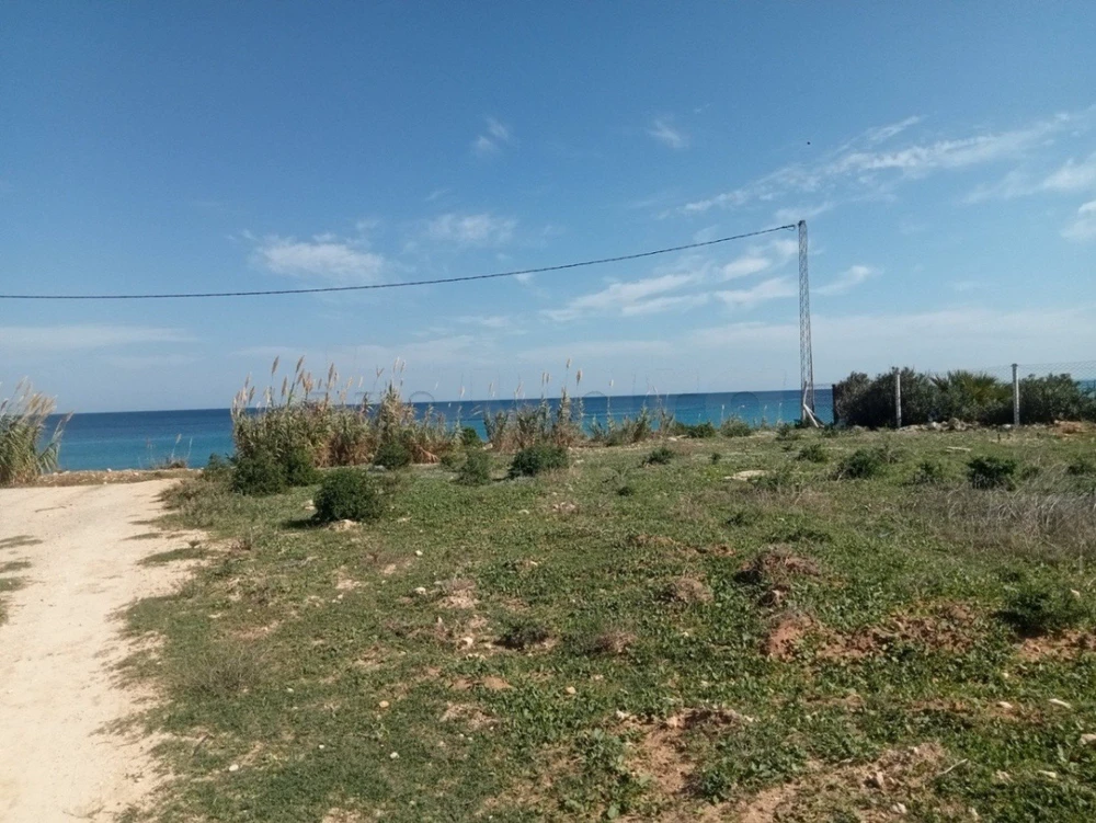 Occasion à ne jamais rater ! des Terrains pieds dans l'eau entre Dar Allouch et El Haouaria destinée à devenir un futur quartier haut standing de villas a partir de 300m2 prix très raisonnable
