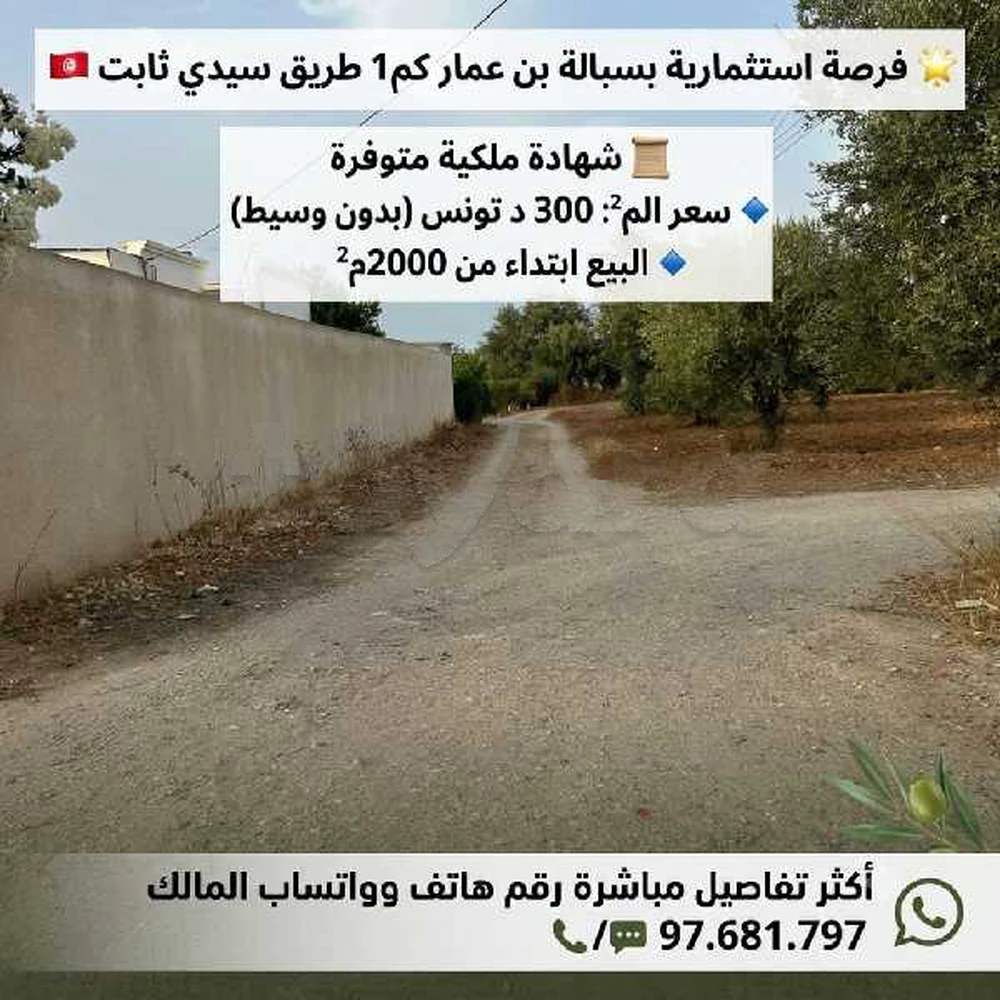 ✨️فرصة استثمارية بسبالة بن عمار كم1 طريق سيدي ثابت 🇹🇳
سعر الم² 300د و بدون وسيط 
📜موجودة شهادة ملكية 
🔹️و البيع ابتداء من 2000م²
➖️أكثر تفاصيل مباشرة رقم هاتف وواتساب المالك 
97.681.797