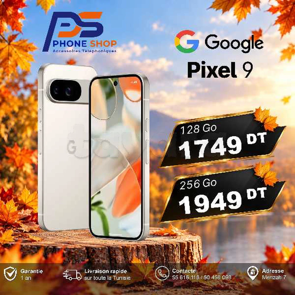 Google Pixel 9