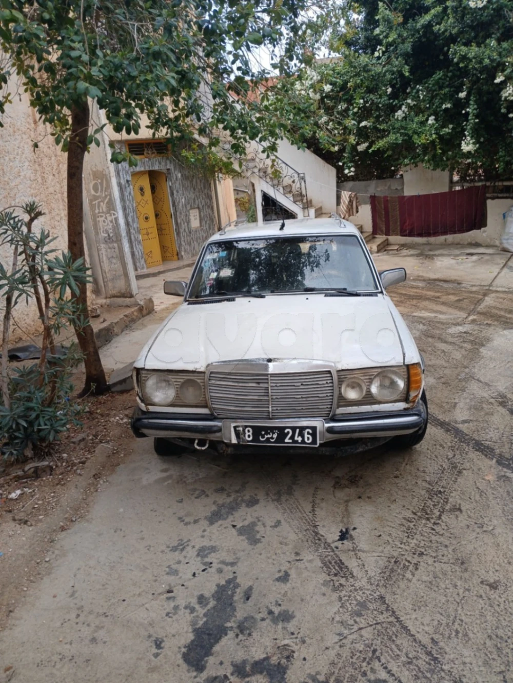 Carte voiture Mercedes-Benz 240