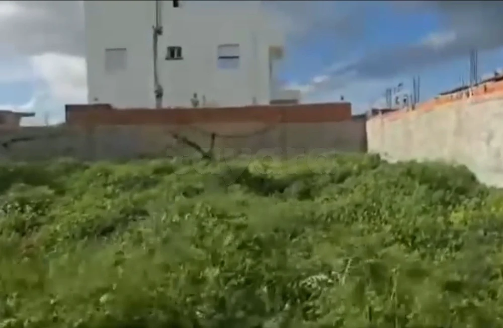 أرض مزيانة في المنيهلة