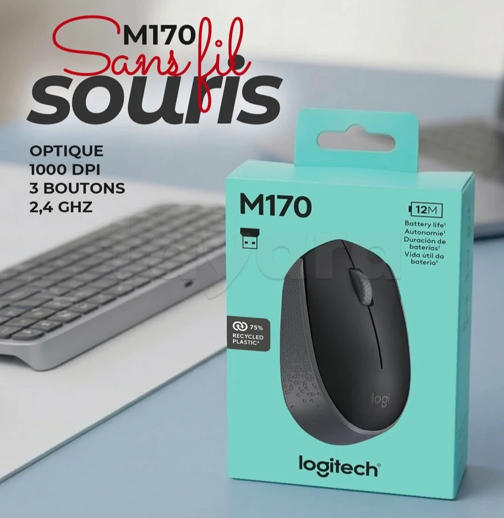 Souris Sans Fil LOGITECH M171