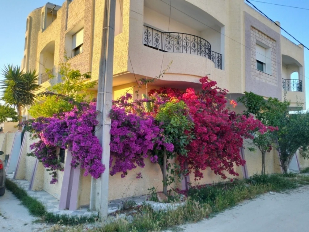 Etage Villa h stading à jinen el mansourah kelibia