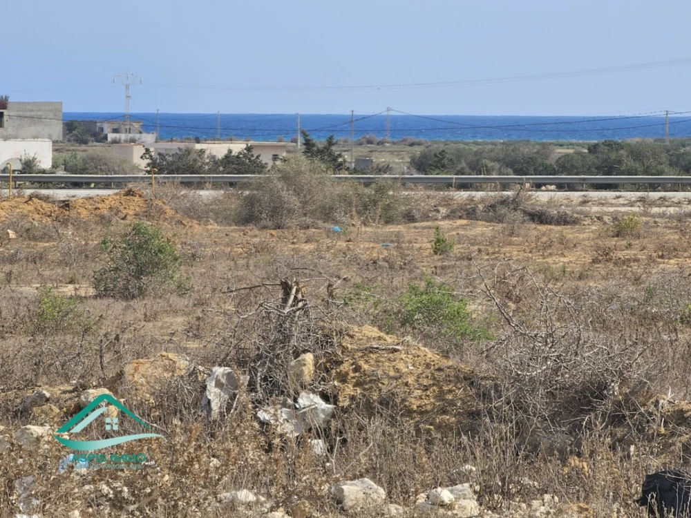 Des terrains d'habitation à Kelibia