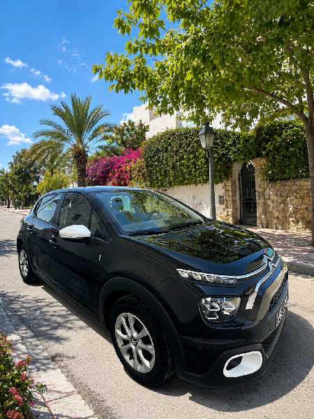 Citroen C35