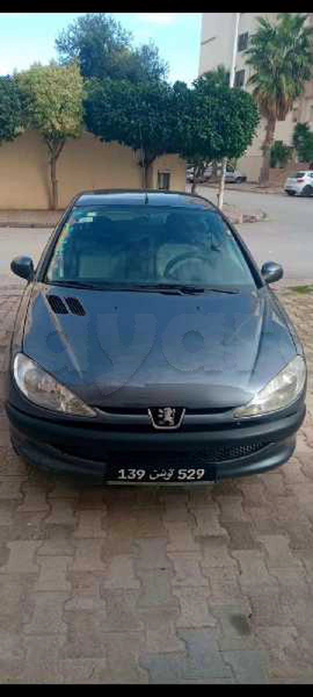 Carte voiture Peugeot 206