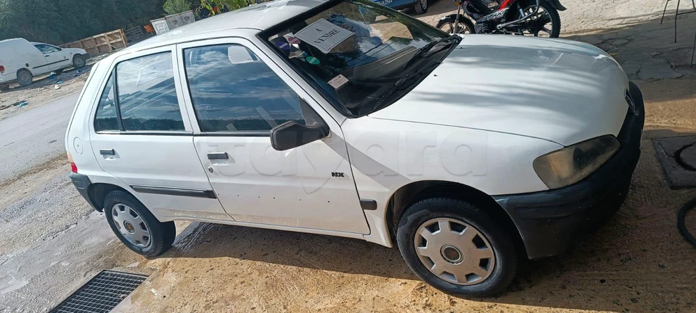 Peugeot 106