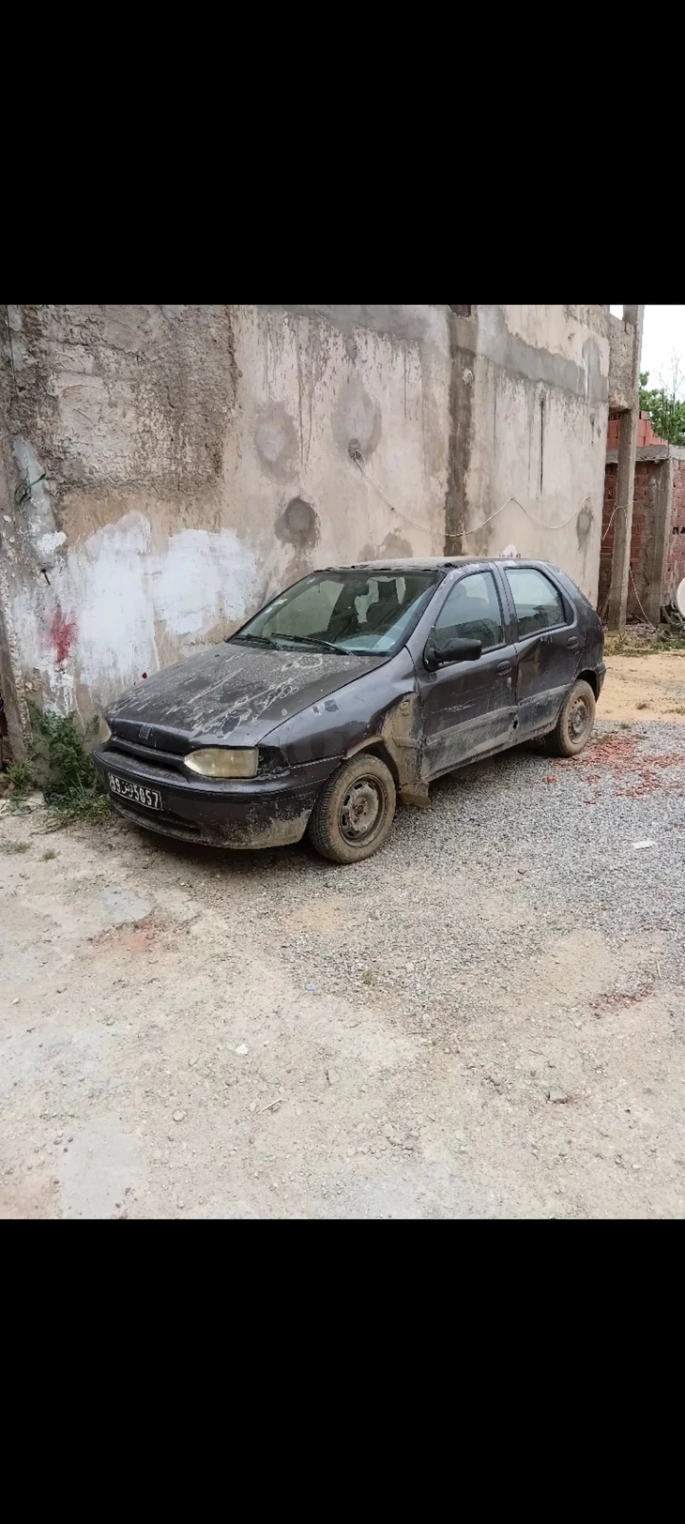 Carte voiture Fiat Palio