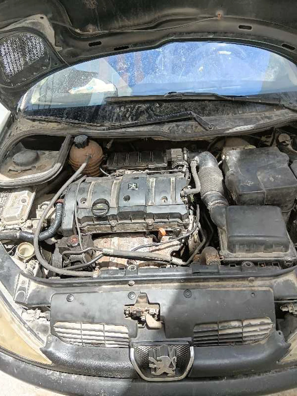 Carte voiture Peugeot 206