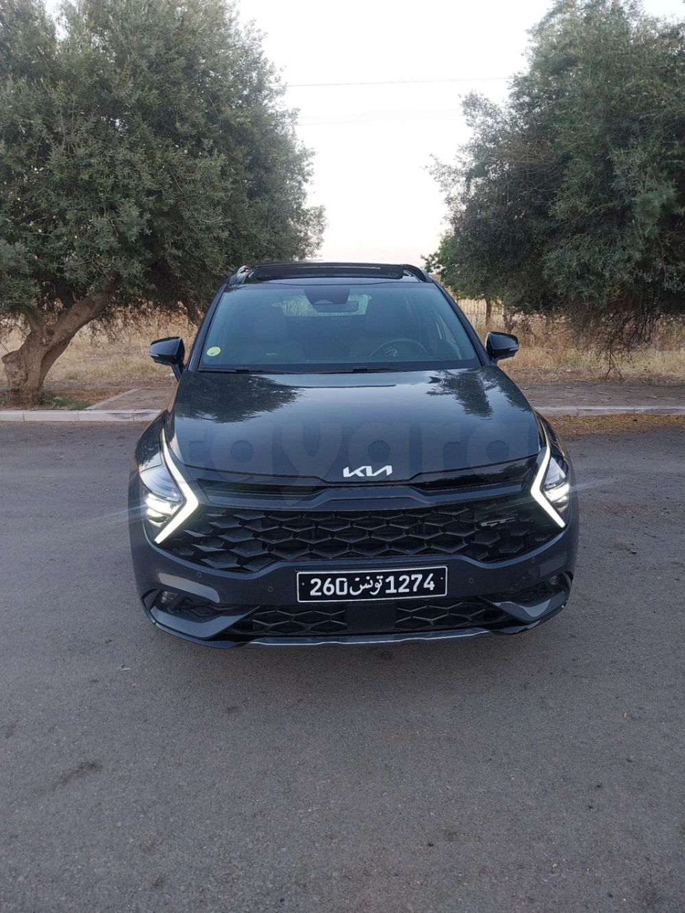 Carte voiture Kia Sportage