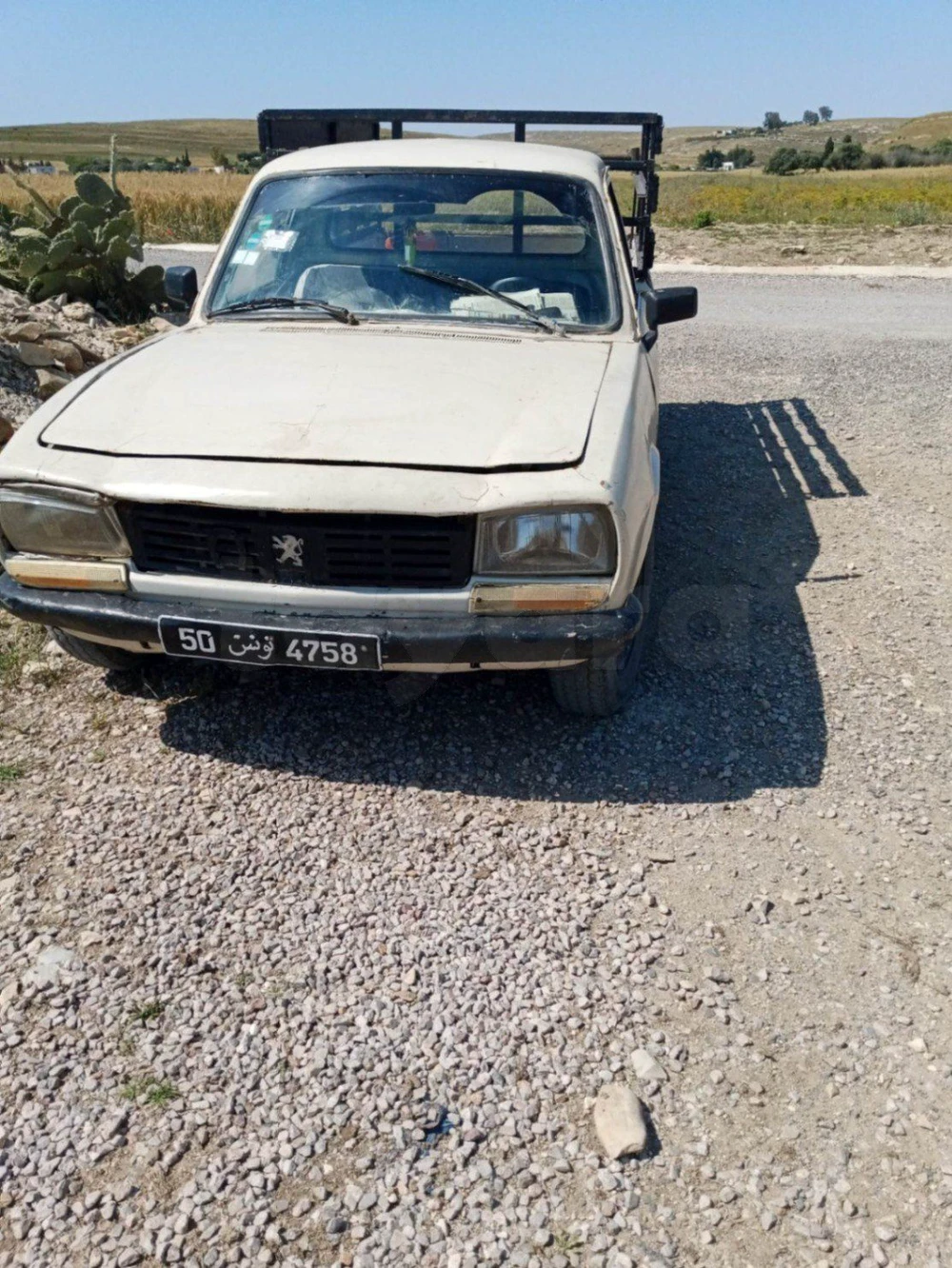 Peugeot 504