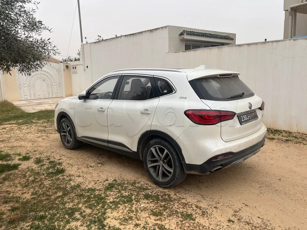 MG HS