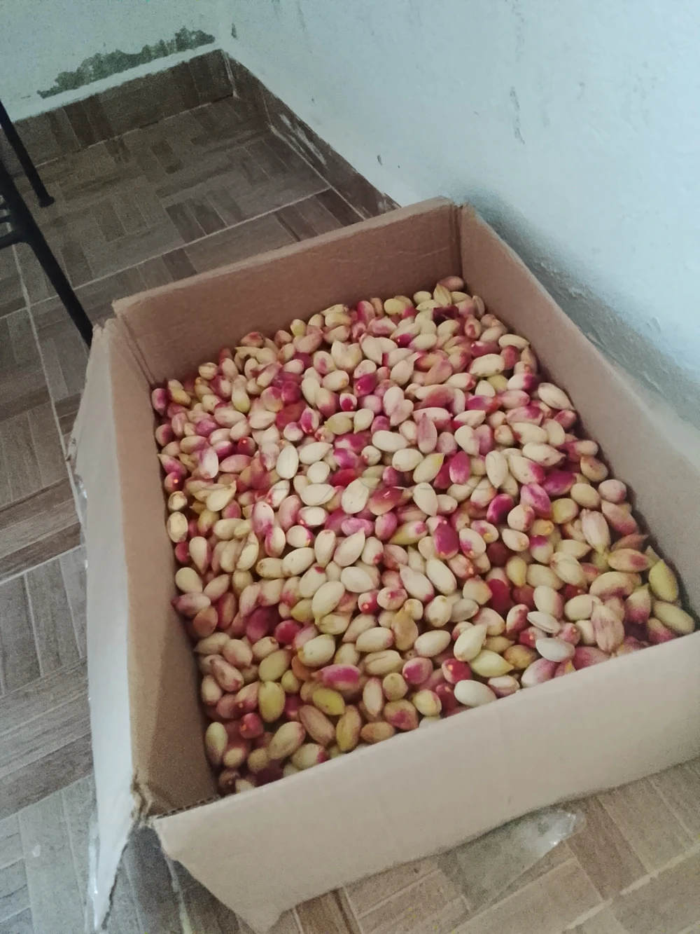 بيع فستق اخضر فرشك