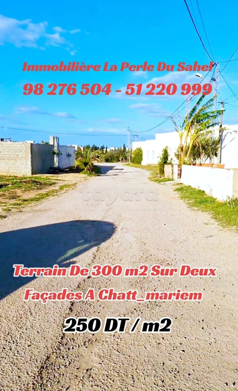TERRAIN DE 300 m2 A CHATT MARIEM