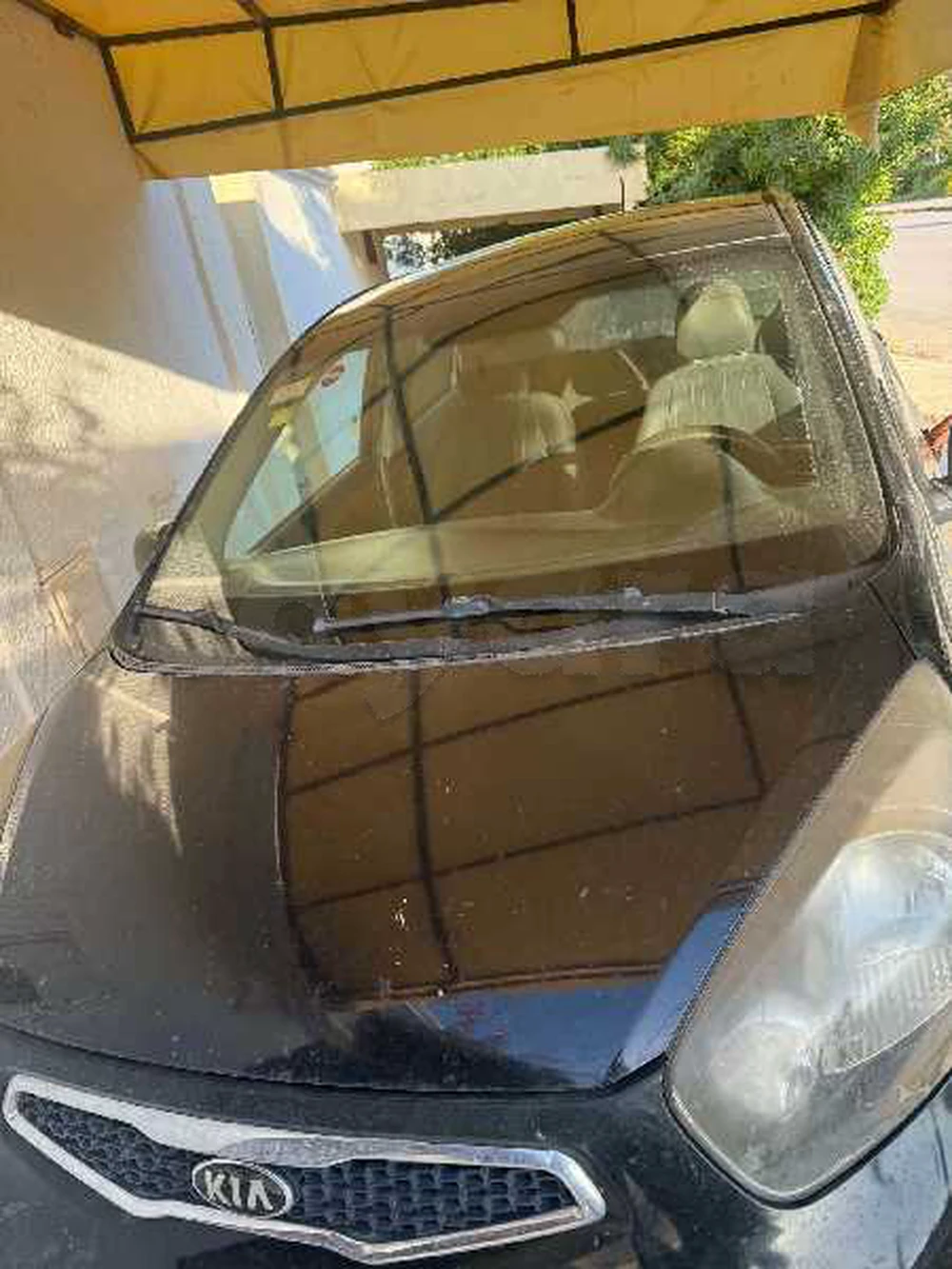 Carte voiture Kia Picanto