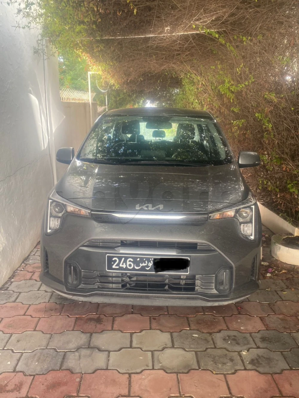 Carte voiture Kia Picanto