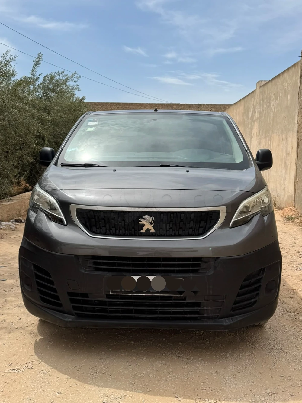 Peugeot Expert
