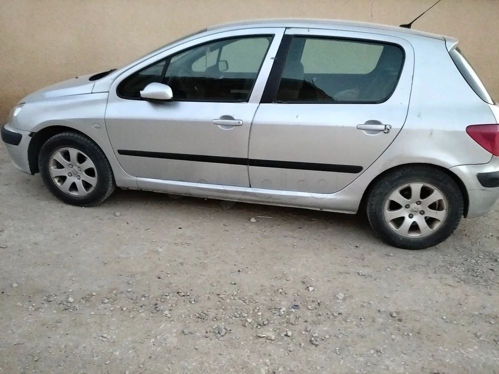Peugeot 307