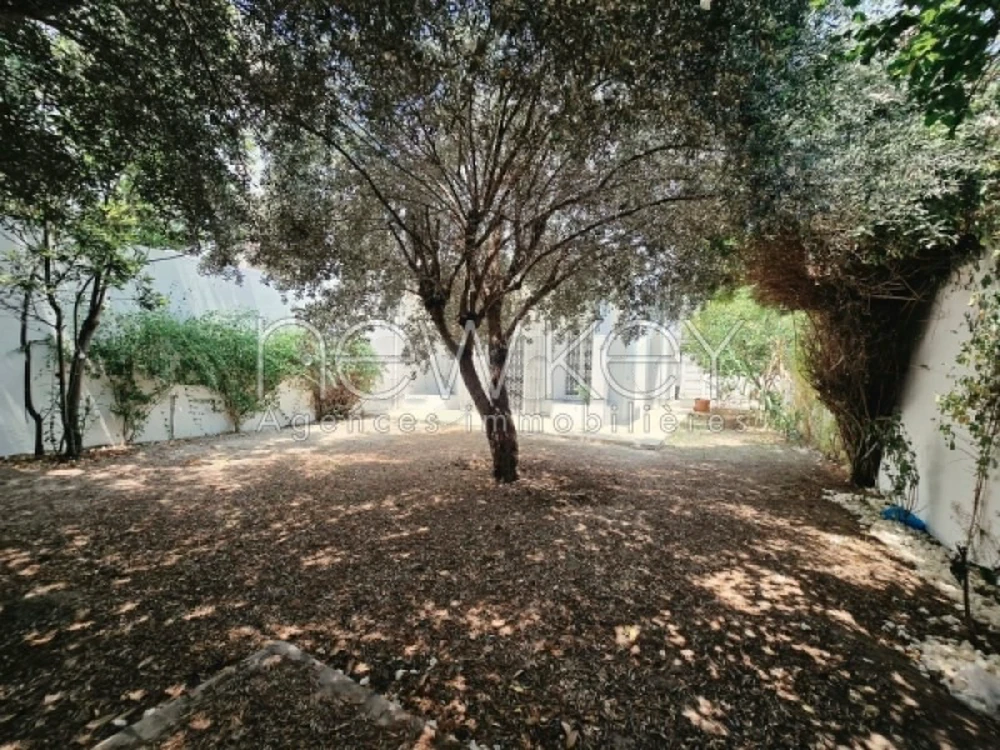 Une villa s+5 à la Marsa avec jardin