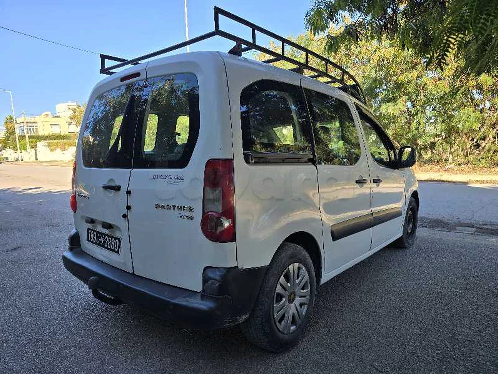 Peugeot Tepee