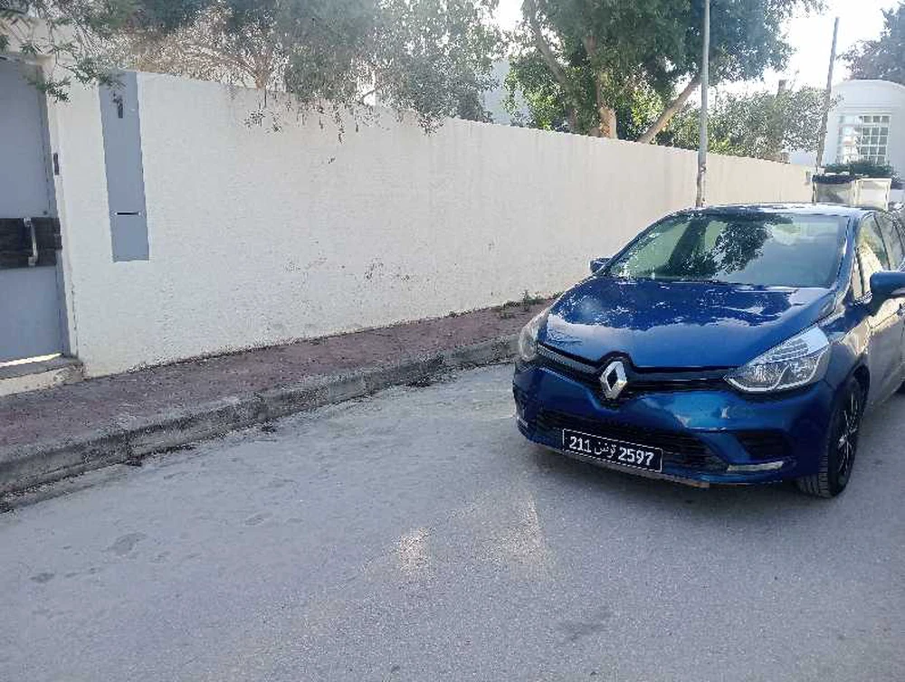 Carte voiture Renault Clio