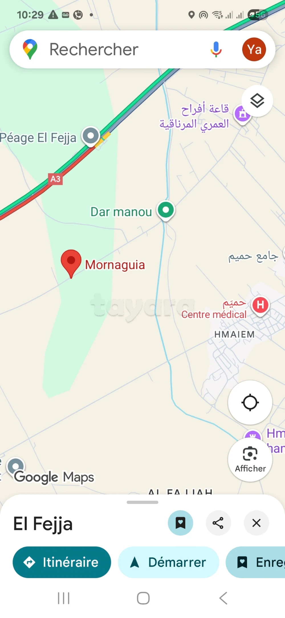 TERRAIN À FORT POTENTIEL – 12 850 m² – Mornaguia - El Fejja – 15 DT/m²
