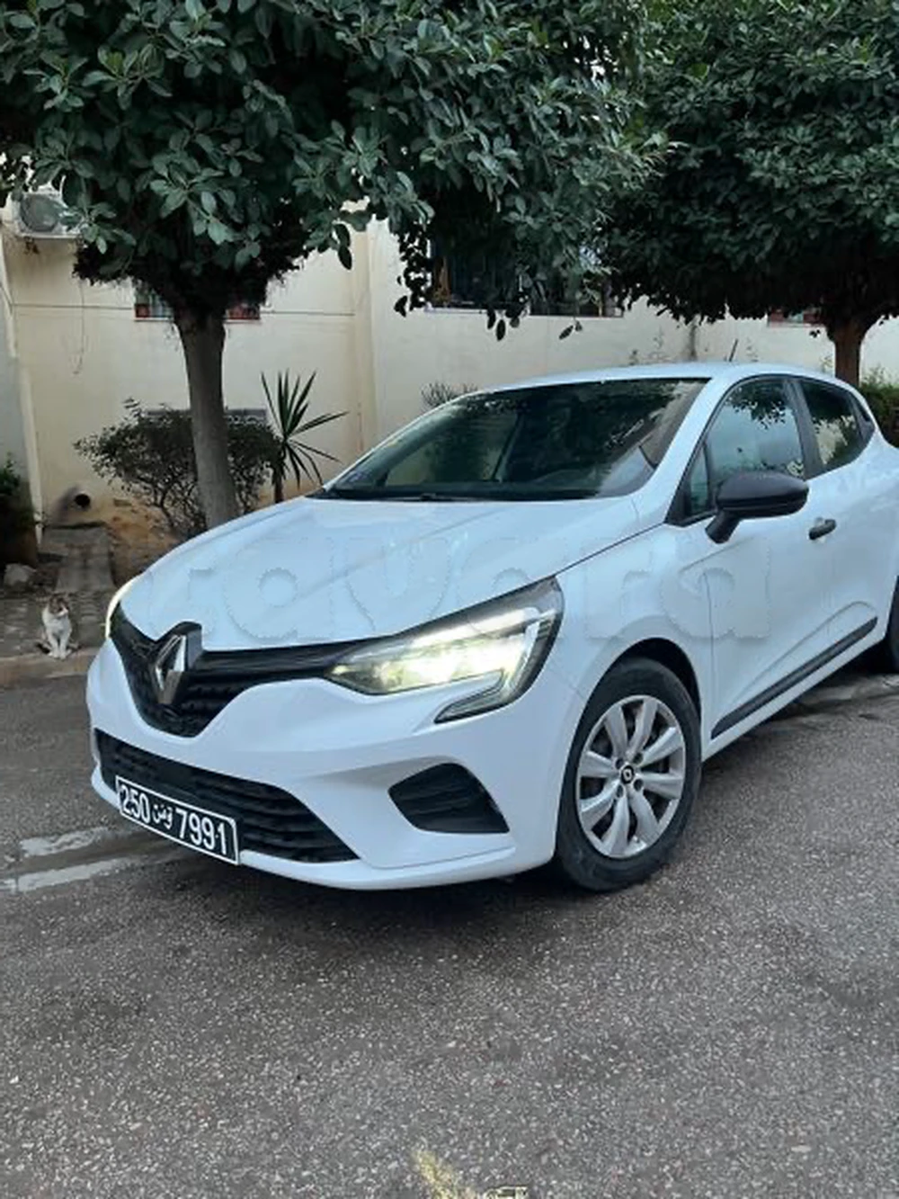 Carte voiture Renault Clio