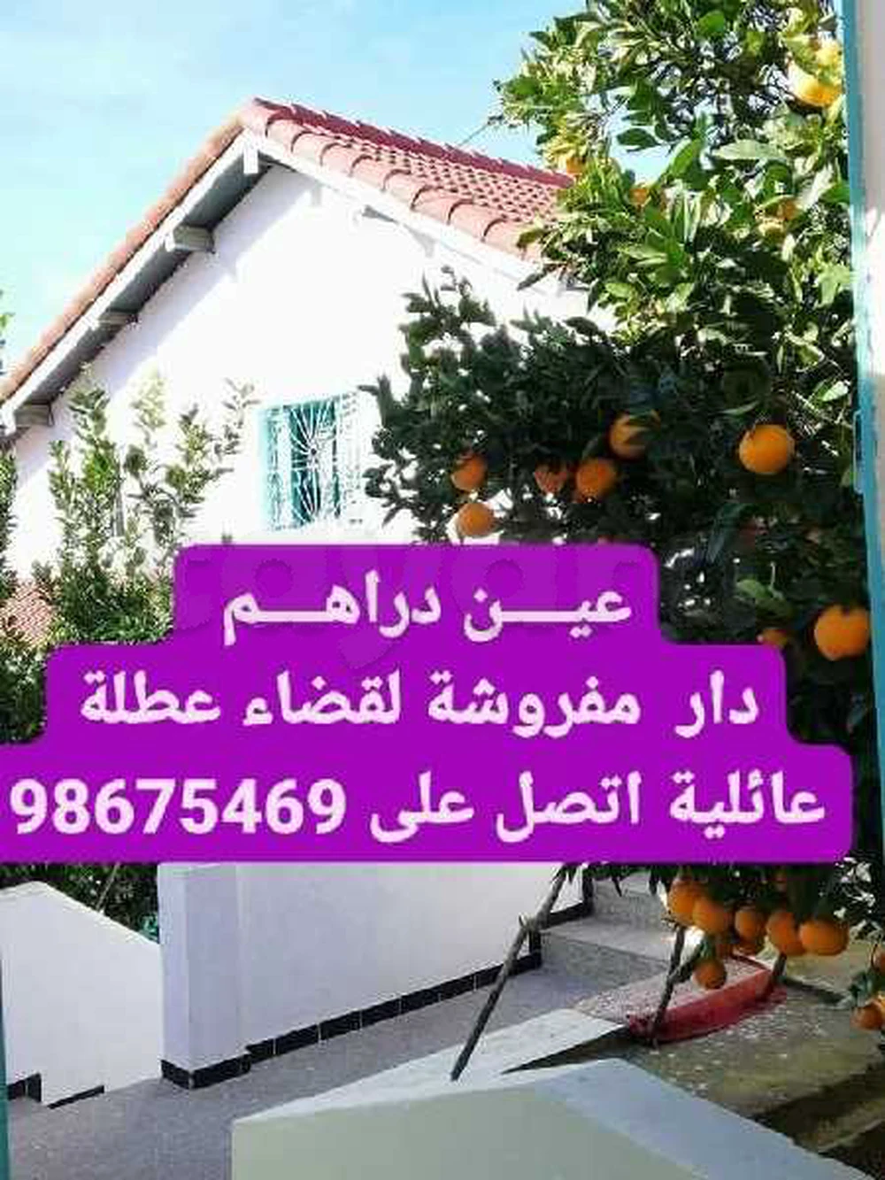 Location maison deVacances à Ain draham