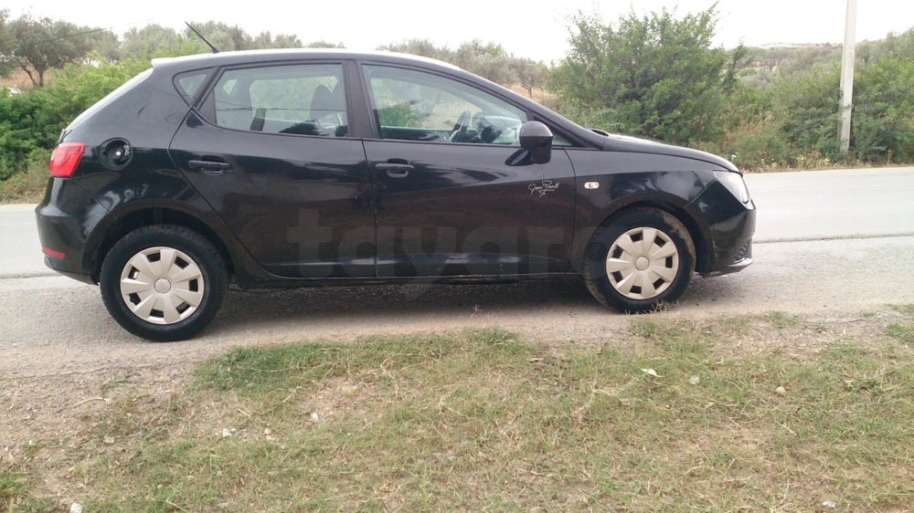 Carte voiture SEAT Ibiza