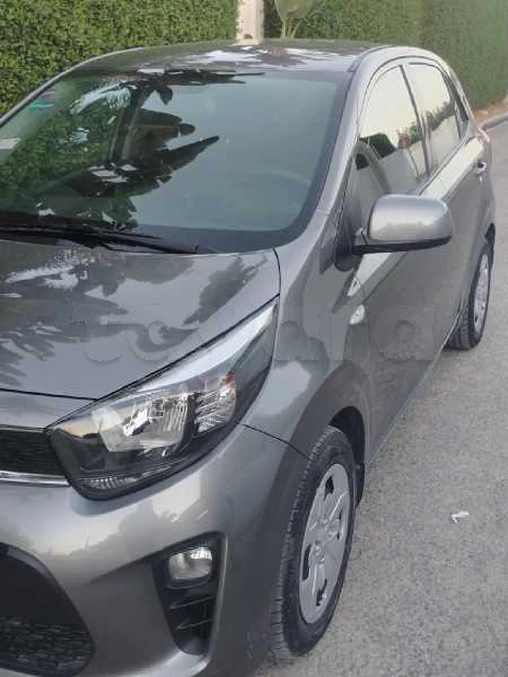 Carte voiture Kia Picanto
