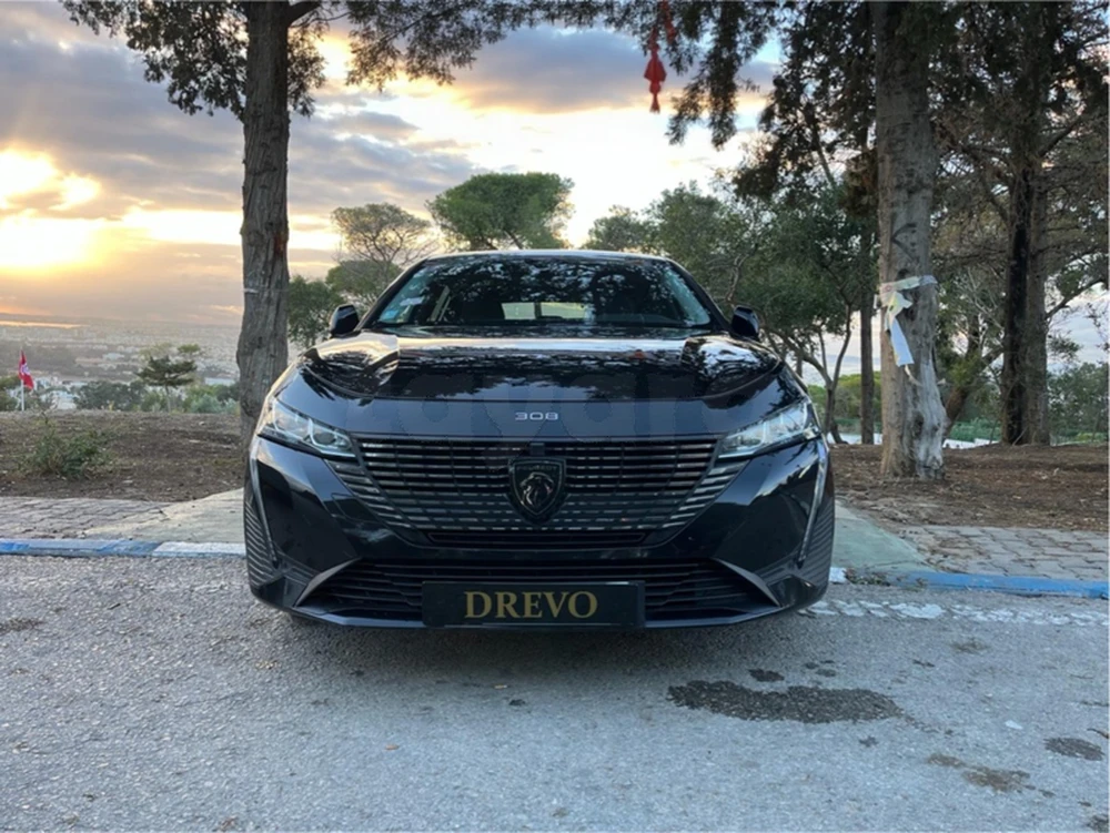 Carte voiture Peugeot 308